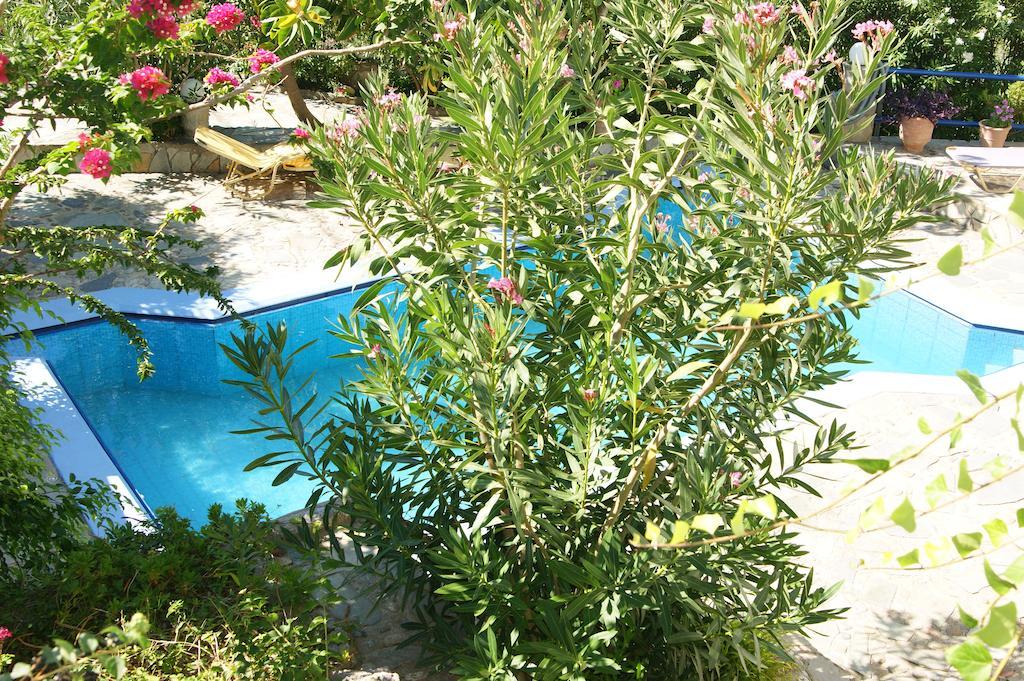 פלאקיאס Lofos Hotel מראה חיצוני תמונה