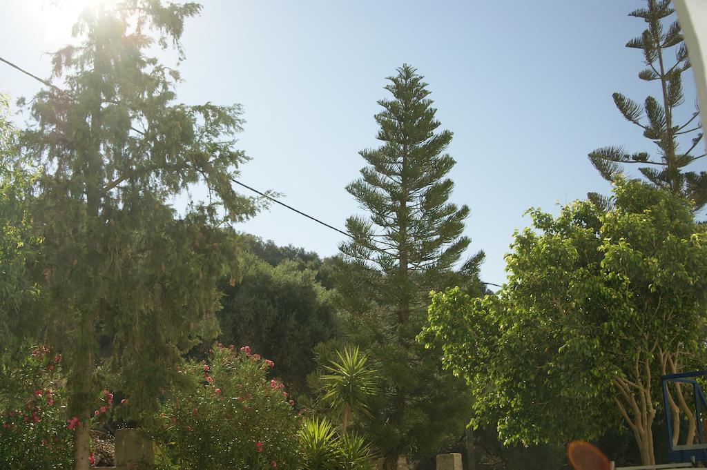 פלאקיאס Lofos Hotel מראה חיצוני תמונה