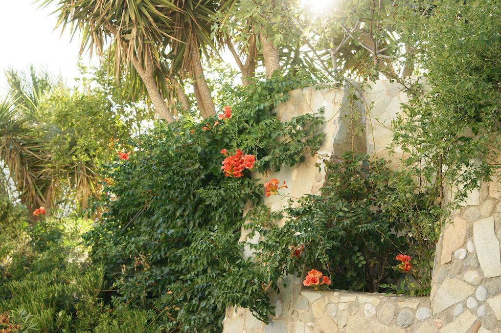 פלאקיאס Lofos Hotel מראה חיצוני תמונה